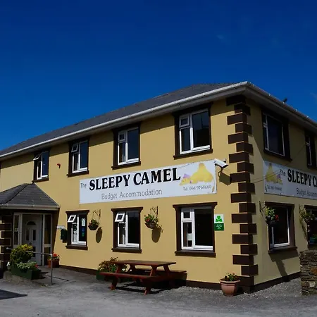 The Sleepy Camel Killarney