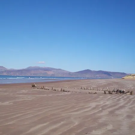 The Sleepy Camel Killarney